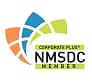 National Minority Supplier Development Council (NMSDC)